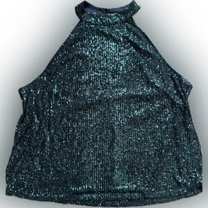 Cable & Gauge Teal Sequin Blouse